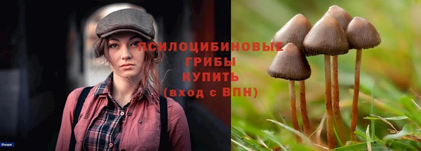 ALPHA-PVP Баксан